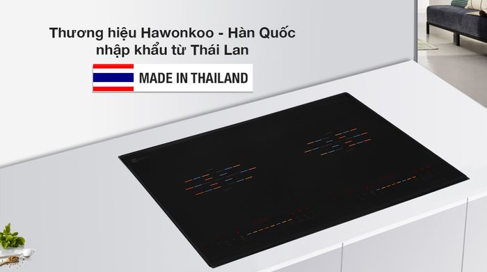 Xuất xứ - Bếp từ đôi Hawonkoo CEH-222-II