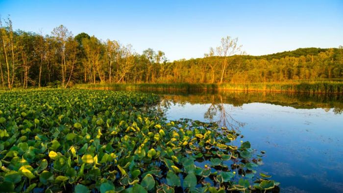 Scenic views like these make it clear why Cuyahoga National Park attracts so many visitors.