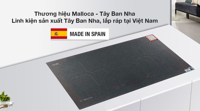 Xuất xứ - Bếp điện từ đôi lắp âm Malloca MH-02IS