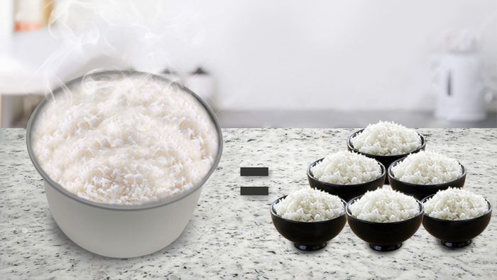 Dung tích lớn - Nồi cơm nắp gài Cuckoo CR- 1413