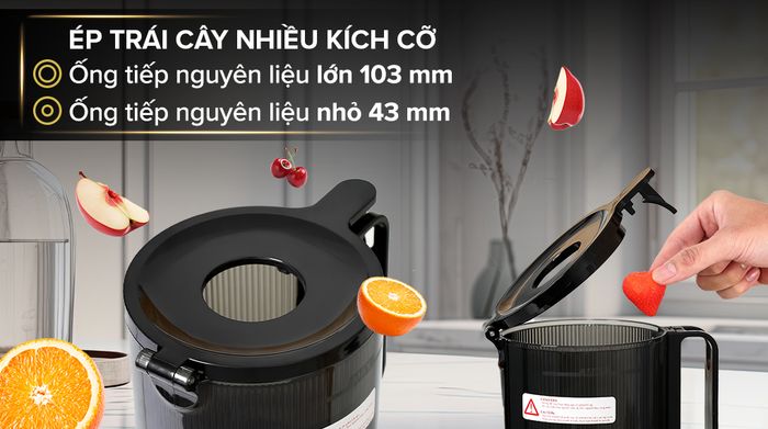 Ống tiếp nguyên liệu - Máy ép chậm AVA SJ-051C