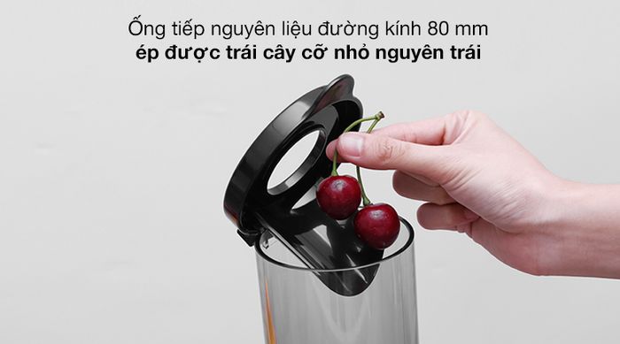 Ống tiếp - Máy ép chậm Hommy GS-135L