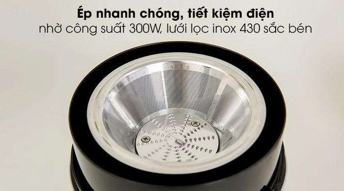 Máy ép trái cây Delites GS-375 - Công suất 300W