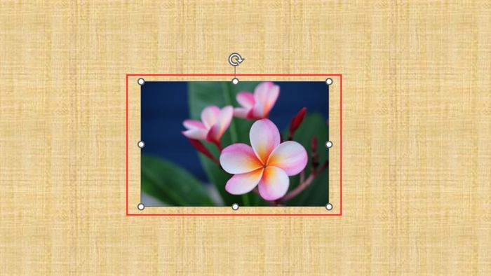 Hình ảnh minh họa bước 1 tạo liên kết đến trang web trong PowerPoint