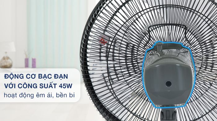 Motor bạc đạn
