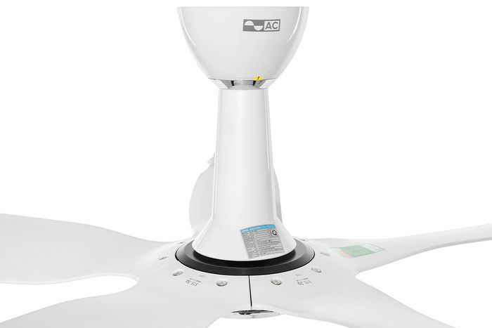 Quạt trần AC CFF04D605 trắng  - Motor