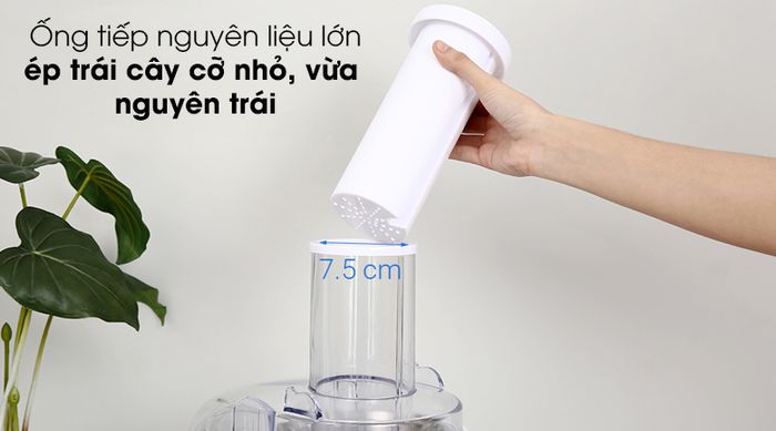 Máy ép trái cây Hommy GS-321 - Ống tiếp nguyên liệu đường kính 75 mm