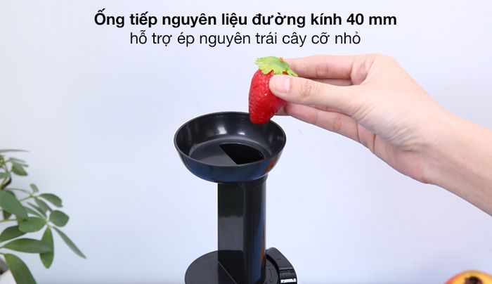 Ống tiếp nguyên liệu - Máy ép chậm AVA JR-319