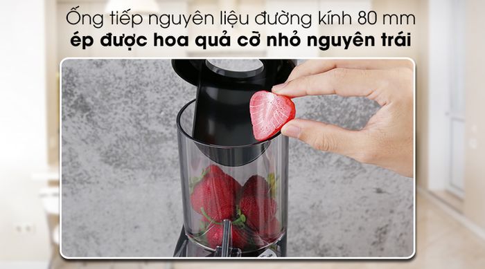 Máy ép chậm Kangaroo KG1B6 - Ống tiếp nguyên liệu đường kính 80 mm