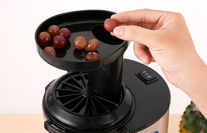 công suất 150W - Máy ép chậm Bluestone SJB-6556