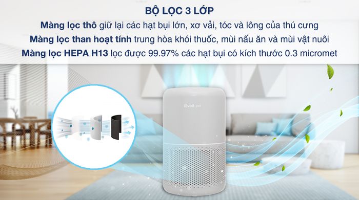 Bộ lọc