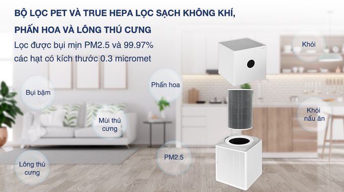 Máy lọc không khí Xiaomi Smart Air Purifier 4 lite - Bộ lọc