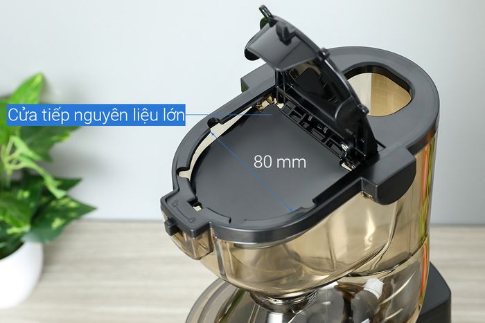 Đường kính ống tiếp nguyên liệu lớn - Máy ép chậm Crystal ZZJ821ML
