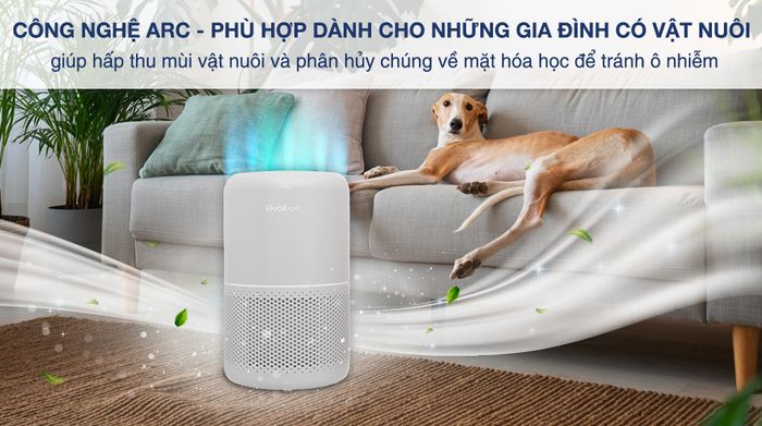 Công nghệ