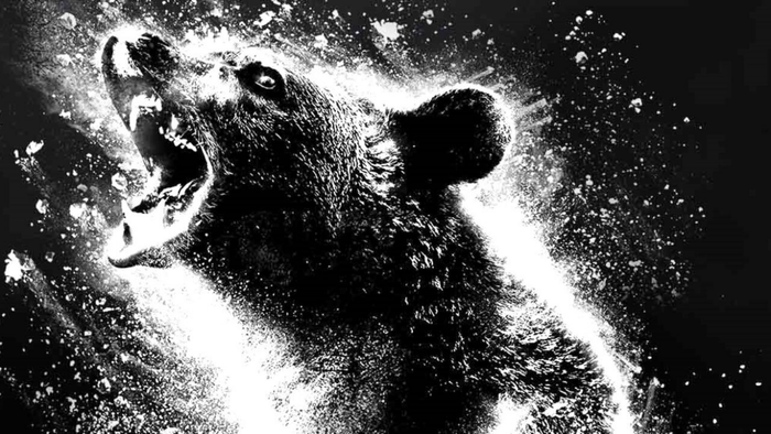 18 Essential Movies to See Before 'Cocaine Bear'