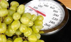 scale with food