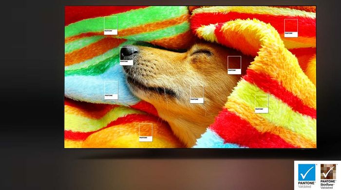Smart Tivi OLED Samsung 4K 65 inch QA65S95CA - Chứng nhận PANTONE