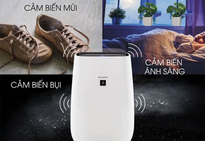 FP-J40E-W có cảm biến tự động điều chỉnh chế độ & công suất phù hợp