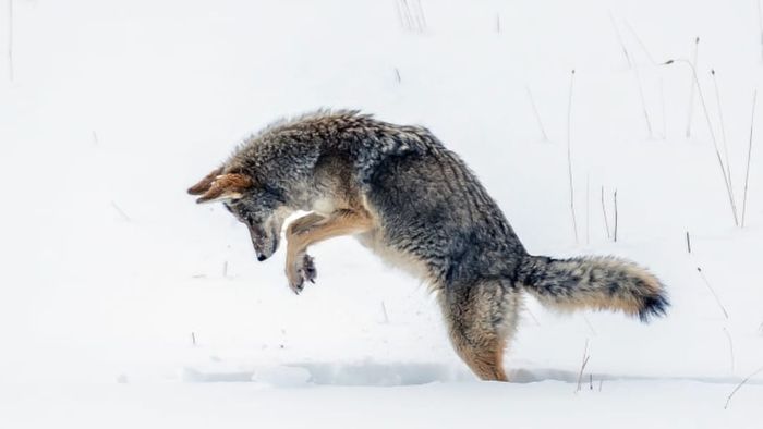 John Morrison/iStock via Getty Images