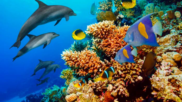 ultramarinfoto/iStock via Getty Images