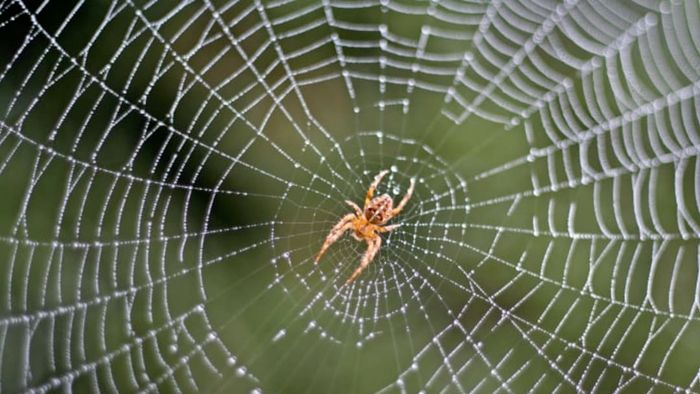 BruceBlock/iStock via Getty Images