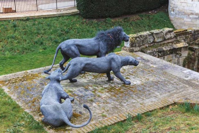 Three lion sculptures now stand at the Tower of London.