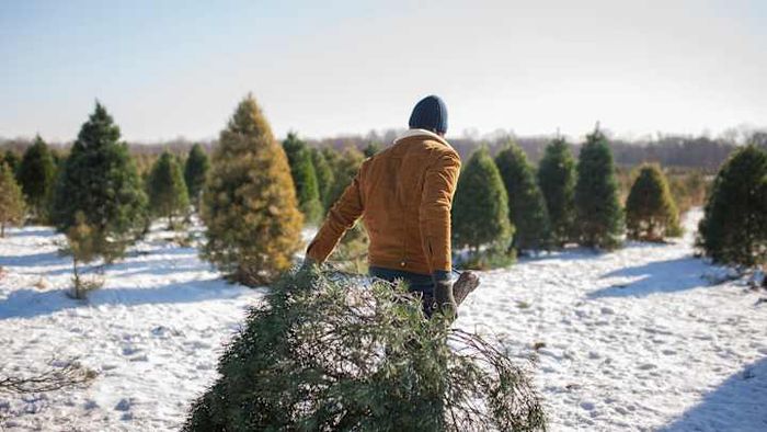 A timeless holiday setting.