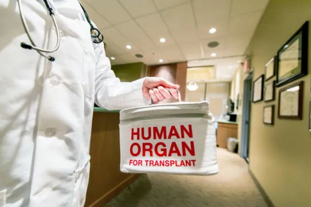 Organ Harvesting in China