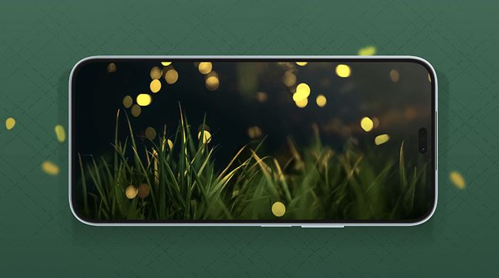 HONOR X8b 8GB/512GB - Màn hình