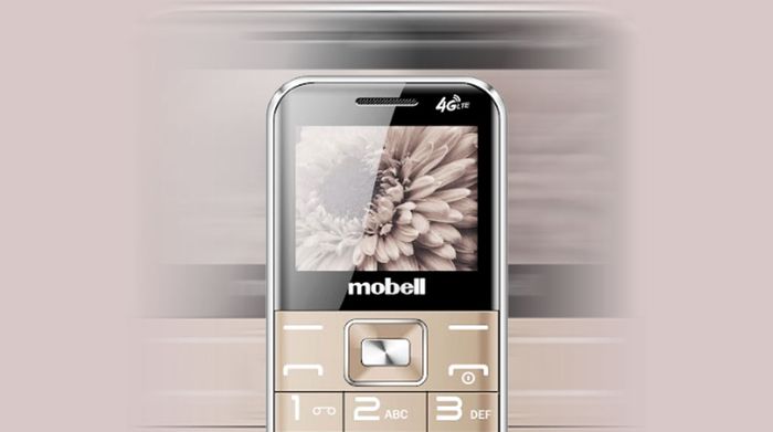 Màn hình - Mobell F309