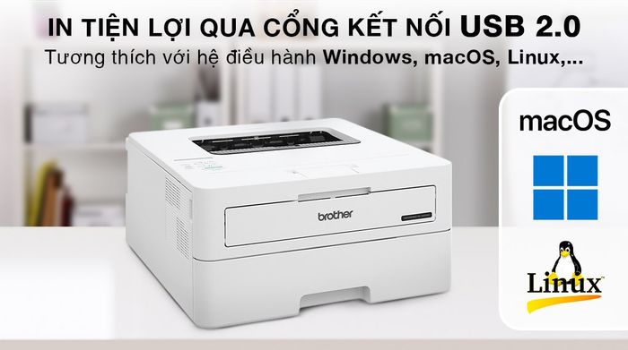 Máy in laser trắng đen đơn năng Brother HL-B2100D - Kết nối
