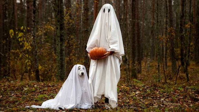 Wishing you a spooktacular Halloween!