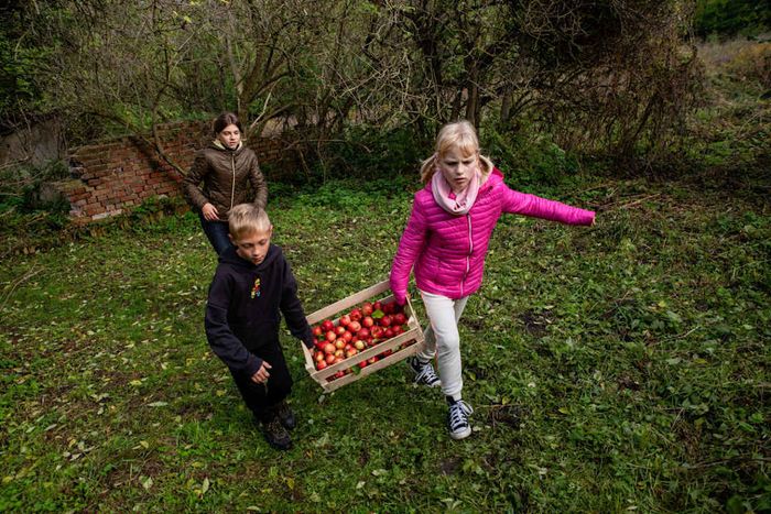 kids gathering apples