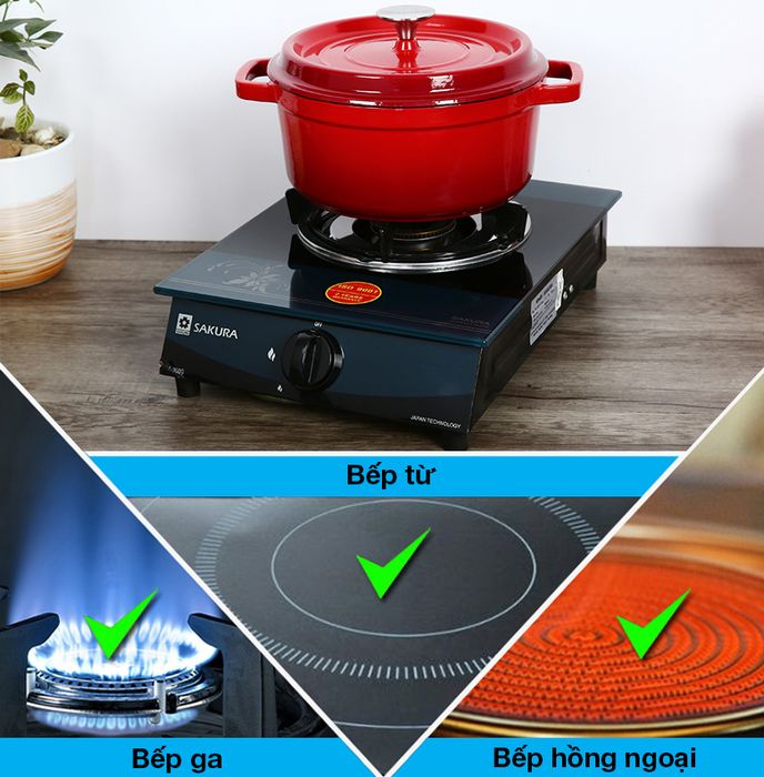 Không kén bếp - Nồi gang đúc 24cm Rapido RK24-RD