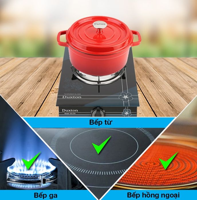 Nồi - Nồi gang đúc 20 cm Rapido RK20-RD