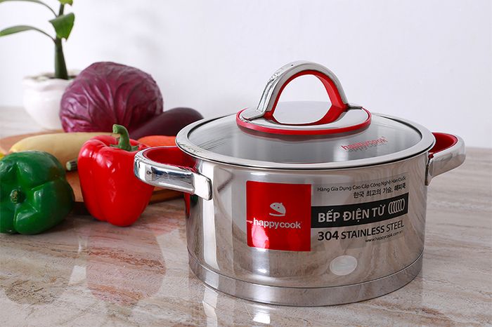 Nồi inox 3 đáy 20cm Happycook HC-20AR