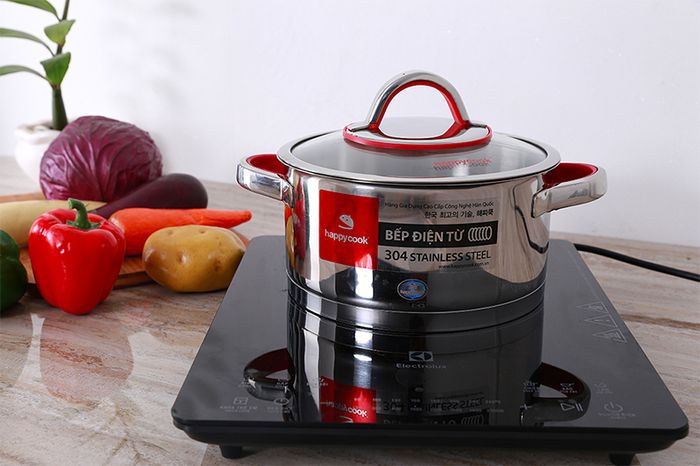 Nồi inox 3 đáy 20cm Happycook HC-20AR