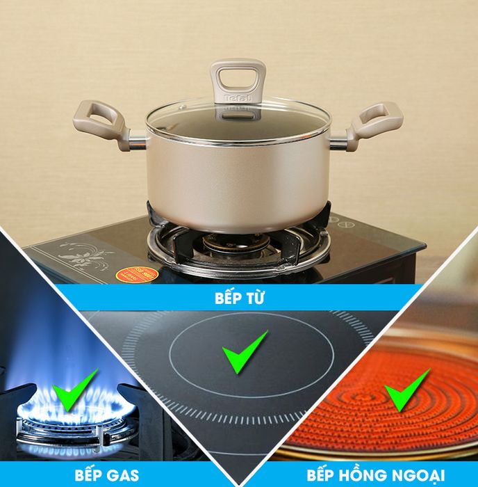 Nồi sử dụng được trên các bếp hồng ngoại, bếp gas và bếp từ - Nồi nhôm chống dính đáy từ 20 cm Tefal H9104414
