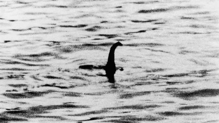 A photograph of the Loch Ness Monster.