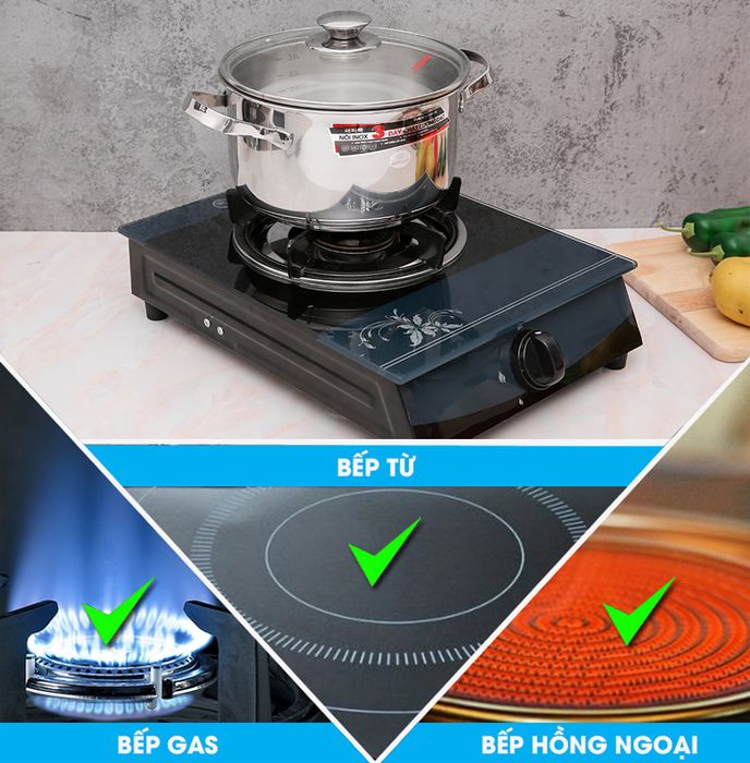 Dùng trên mọi loại bếp - Nồi inox 3 đáy 20cm Happycook N20-NMG