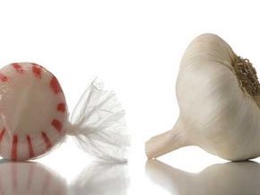 garlic and peppermint