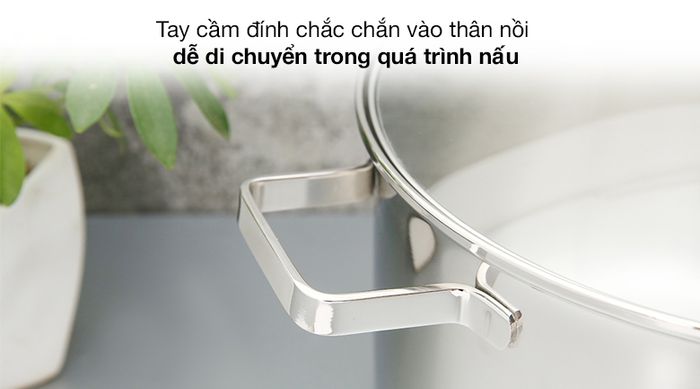 Tay cầm - Nồi inox 3 đáy nắp kính 30cm Happycook NC-30G