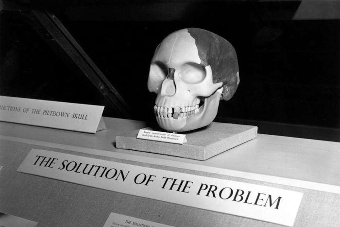 Piltdown Skull