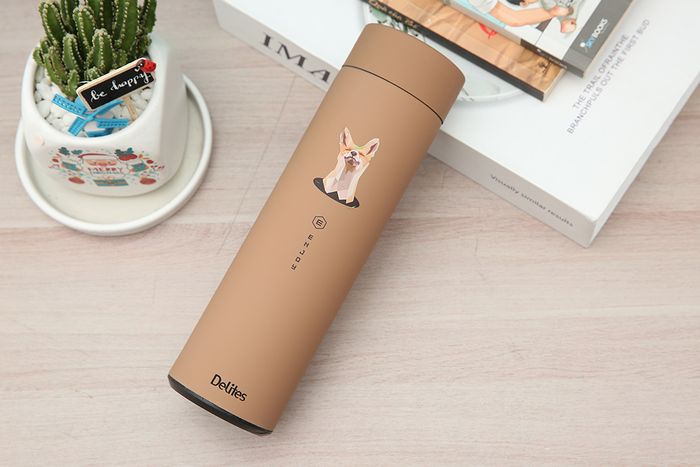Bình giữ nhiệt inox 500 ml Delites TH05066