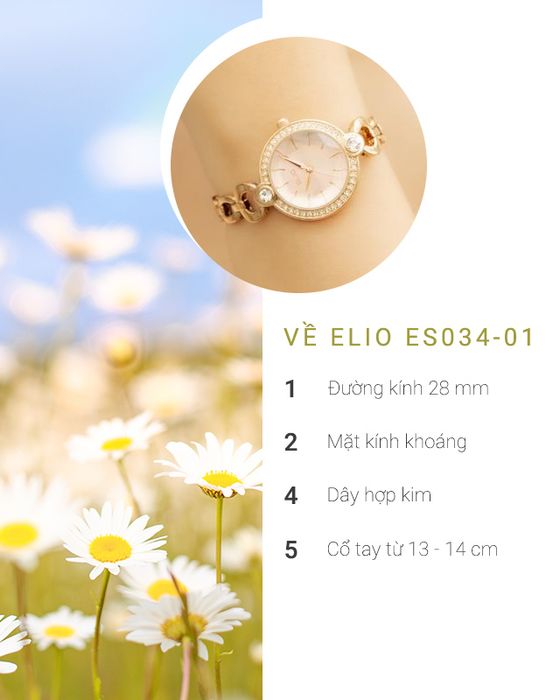 Tổng quan về đồng hồ Nữ Elio ES034-01