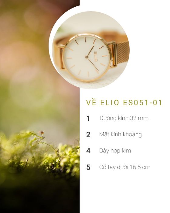 Tổng quan về đồng hồ Nữ Elio ES051-01