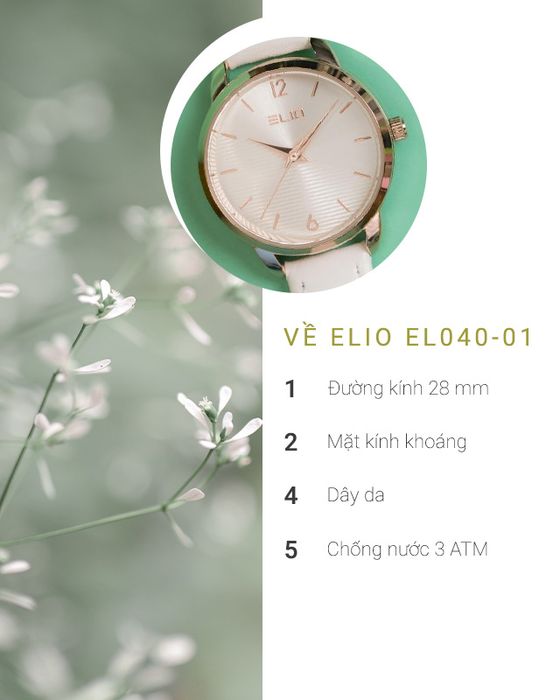 Tổng quan về đồng hồ Nữ Elio EL040-01