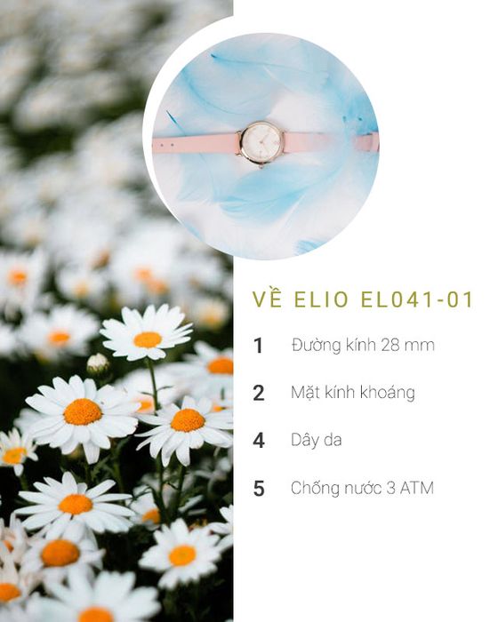 Tổng quan về đồng hồ nữ Elio EL041-01
