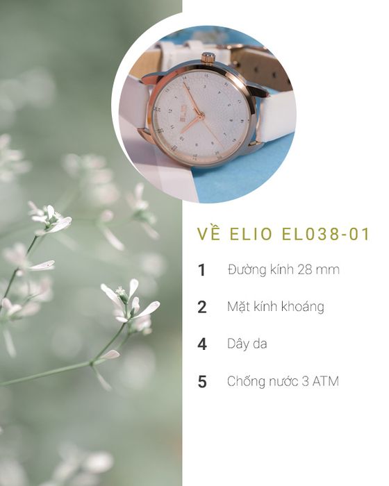 Tổng quan về đồng hồ Nữ Elio EL038-01