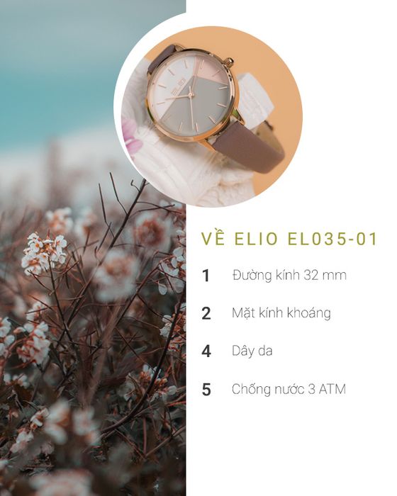 Tổng quan về đồng hồ Nữ Elio EL035-01